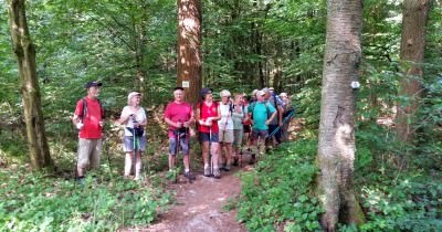 Marche hebdomadaire du mardi