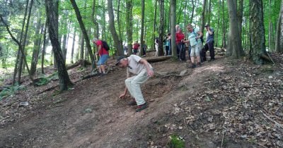 Marche hebdomadaire du mardi