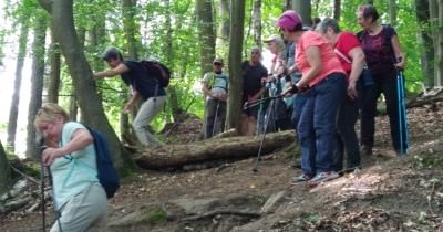 Marche hebdomadaire du mardi