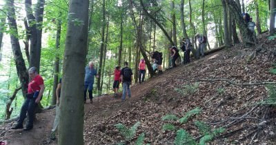 Marche hebdomadaire du mardi