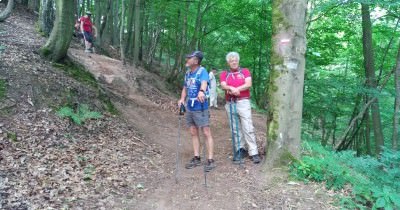 Marche hebdomadaire du mardi