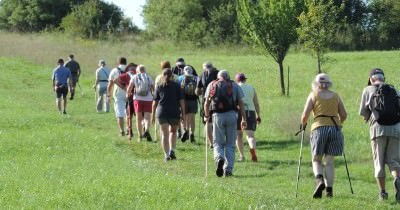 Marche hebdomadaire du mardi