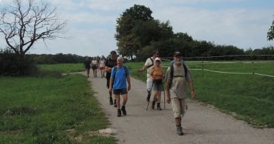 Marche hebdomadaire du mardi