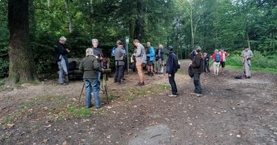 Marche hebdomadaire du mardi