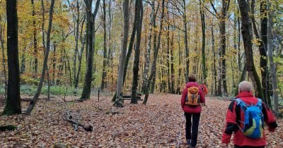 Marche hebdomadaire du mardi