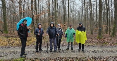 Marche hebdomadaire du mardi