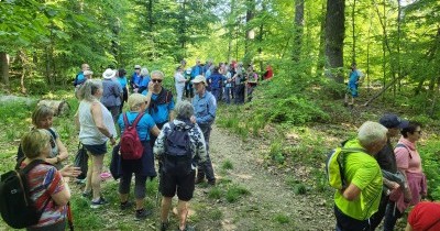 Journée "Asperges" - 10 mai 2026