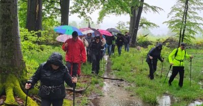 Journée "Asperges" - 05 mai 2024