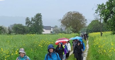 Journée "Asperges" - 05 mai 2024