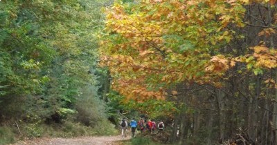 Rando Châtaignes à Oberbronn - 19 octobre 2025