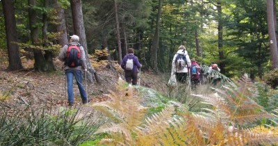 Rando Châtaignes à Oberbronn - 19 octobre 2025