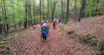 Rando des Châtaignes à Oberbronn - 20 octobre 2024