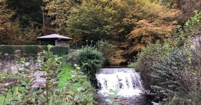 Rando des Châtaignes à Oberbronn - 20 octobre 2024