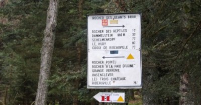 Week-End Printanier en Alsace à Ribeauvillé - 26-27 avril 2025