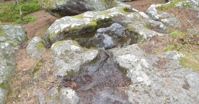 Week-End Printanier en Alsace à Ribeauvillé - 26-27 avril 2025