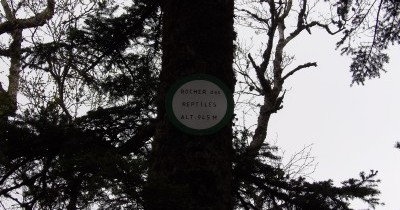 Week-End Printanier en Alsace à Ribeauvillé - 26-27 avril 2025