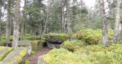 Week-End Printanier en Alsace à Ribeauvillé - 26-27 avril 2025