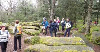 Week-End Printanier en Alsace à Ribeauvillé - 26-27 avril 2025