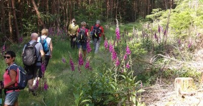 Rando à la journée - Neustadtmuhle (Dabo) - 12 juin 2025