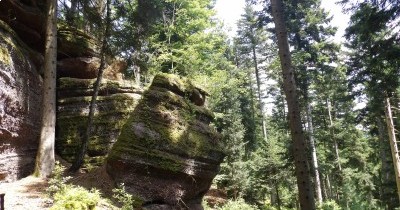 Rando à la journée - Neustadtmuhle (Dabo) - 12 juin 2025