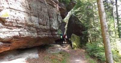 Rando à la journée - Neustadtmuhle (Dabo) - 12 juin 2025