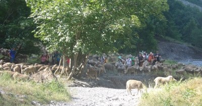 Les Montagnes du Haut-Giffre - 28 juin au 5 juillet 2025