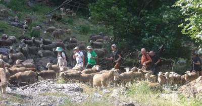 Les Montagnes du Haut-Giffre - 28 juin au 5 juillet 2025