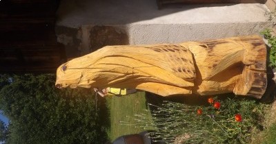 Les Montagnes du Haut-Giffre - 28 juin au 5 juillet 2025