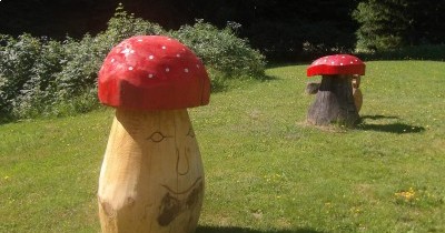 Les Montagnes du Haut-Giffre - 28 juin au 5 juillet 2025