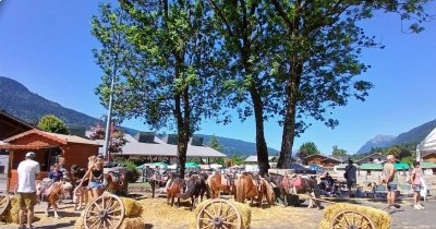Les Montagnes du Haut-Giffre - 28 juin au 5 juillet 2025