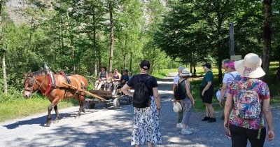 Les Montagnes du Haut-Giffre - 28 juin au 5 juillet 2025