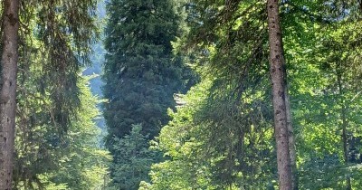Les Montagnes du Haut-Giffre - 28 juin au 5 juillet 2025
