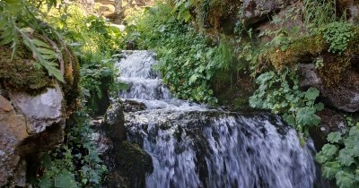 Les Montagnes du Haut-Giffre - 28 juin au 5 juillet 2025