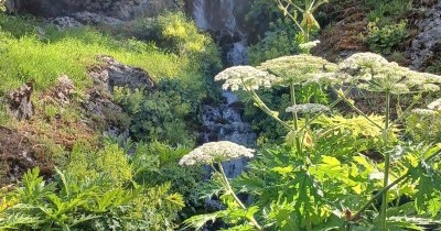 Les Montagnes du Haut-Giffre - 28 juin au 5 juillet 2025