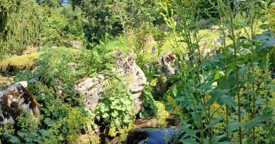 Les Montagnes du Haut-Giffre - 28 juin au 5 juillet 2025