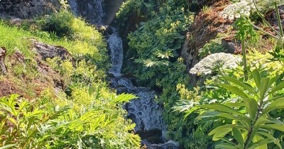 Les Montagnes du Haut-Giffre - 28 juin au 5 juillet 2025