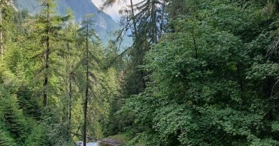 Les Montagnes du Haut-Giffre - 28 juin au 5 juillet 2025
