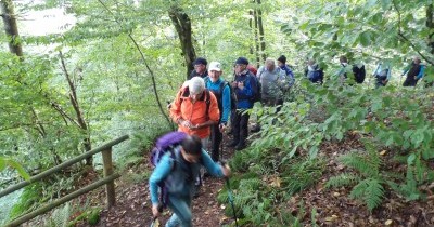 Forêt-Noire - du 28 au 30 septembre 2025