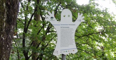 Forêt-Noire - du 28 au 30 septembre 2025