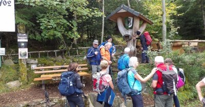 Forêt-Noire - du 28 au 30 septembre 2025