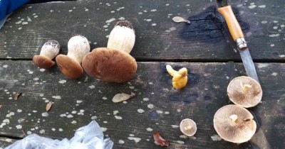 Forêt-Noire - du 28 au 30 septembre 2025