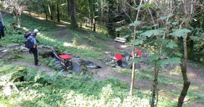 Forêt-Noire - du 28 au 30 septembre 2025