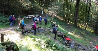 Forêt-Noire - du 28 au 30 septembre 2025