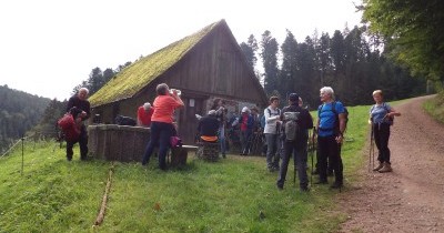 Forêt-Noire - du 28 au 30 septembre 2025