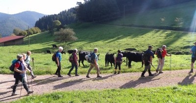 Forêt-Noire - du 28 au 30 septembre 2025