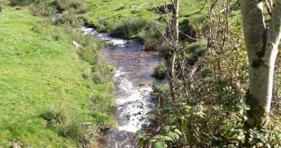 Forêt-Noire - du 28 au 30 septembre 2025