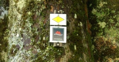 Forêt-Noire - du 28 au 30 septembre 2025