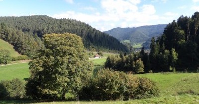 Forêt-Noire - du 28 au 30 septembre 2025