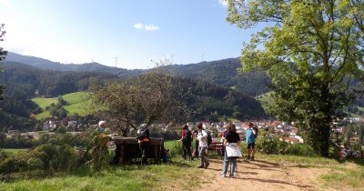 Forêt-Noire - du 28 au 30 septembre 2025