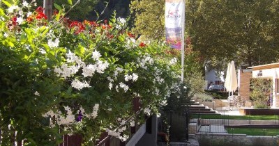 Forêt-Noire - du 28 au 30 septembre 2025